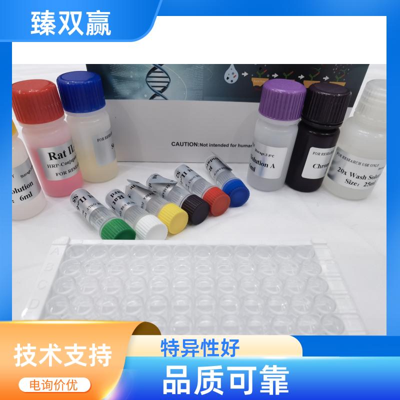 人RAR相关孤儿素受体γ(RORγ)ELISA试剂盒