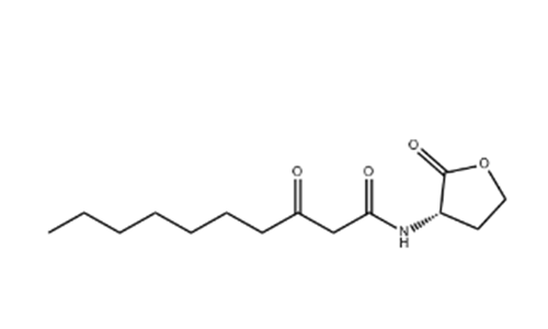 N-(3-氧代癸酰基)-L-高丝氨酸内酯