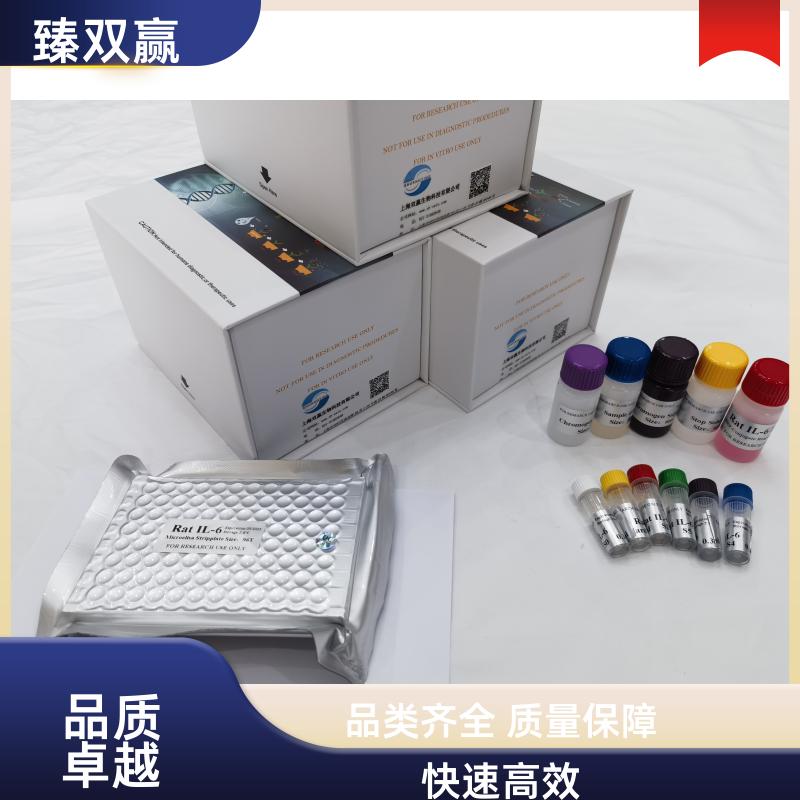 人Runt相关转录因子2(RUNX2)ELISA试剂盒