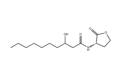 N-3-羟基癸酰基-L-羟甲基丝氨酸内酯