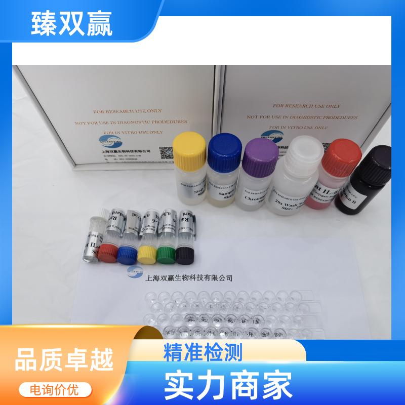 人B细胞淋巴瘤因子2(Bcl-2)ELISA试剂盒