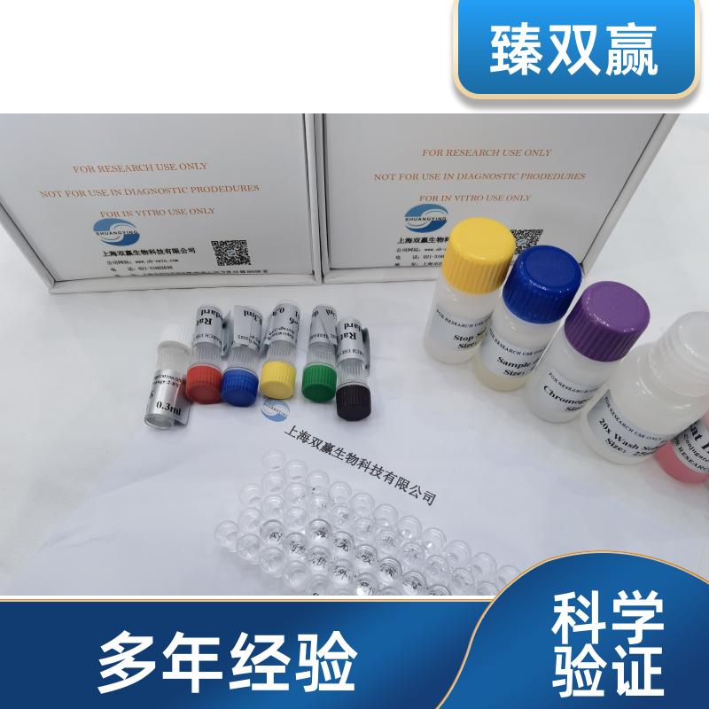 人1,25-二羟基维生素D3(1,25(OH)2D3)ELISA试剂盒