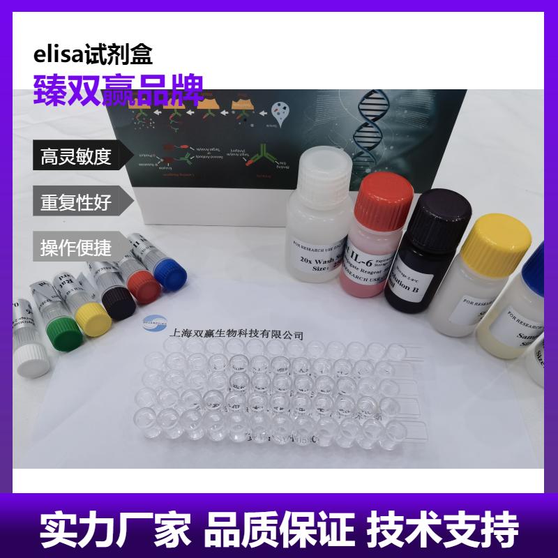 人葡萄糖激酶(CK)ELISA试剂盒