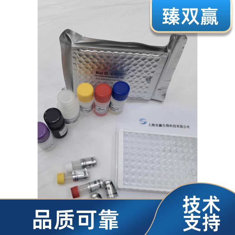 人吡咯啉-5-羧酸还原酶1，线粒体(PYCR1)ELISA试剂盒
