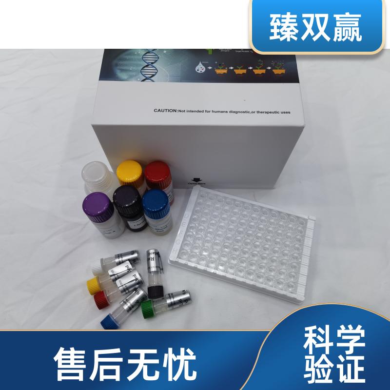人Scleraxis同源物B(SCXB)ELISA试剂盒