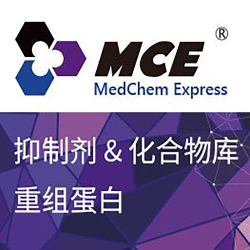 KDM8蛋白, Human