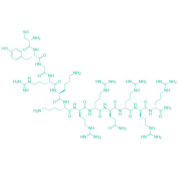 穿膜肽Cys-[HIV-Tat (47-57)])/583836-55-9/Cys-TAT(47-57)