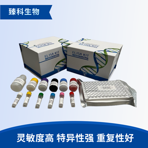 人嗜酸性粒细胞趋化蛋白(Eotaxin;CCL11）检测试剂盒（ELISA法）