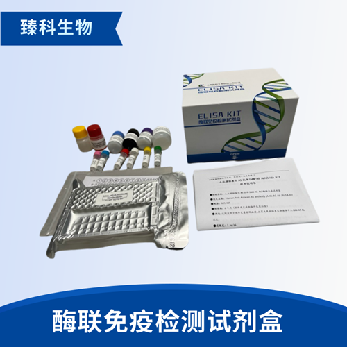 人嗜酸性粒细胞趋化蛋白(Eotaxin;CCL11）检测试剂盒（ELISA法）