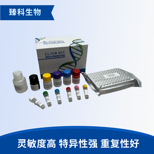 人白介素17C(IL-17C）检测试剂盒（ELISA法）