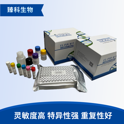 人斯钙素1(STC-1）检测试剂盒（ELISA法）