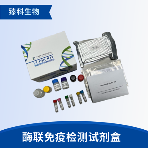 人斯钙素1(STC-1）检测试剂盒（ELISA法）