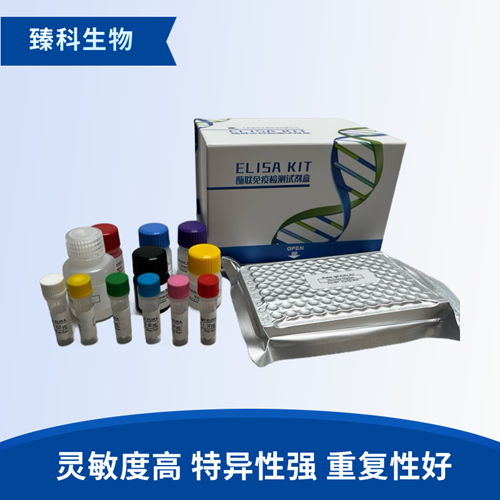 人二氢嘧啶脱氢酶(DPD）检测试剂盒（ELISA法）