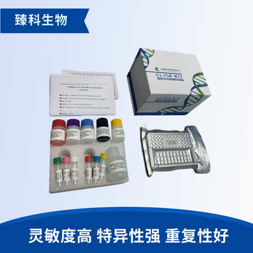 人生长分化因子3(GDF-3）检测试剂盒（ELISA法）