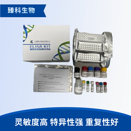 人生长分化因子3(GDF-3）检测试剂盒（ELISA法）