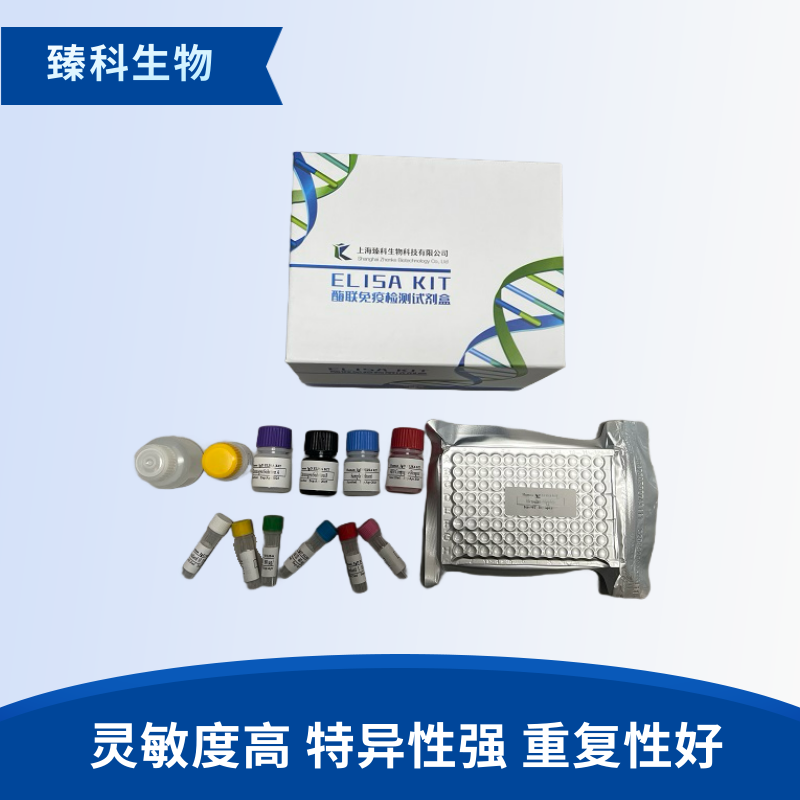 人胃泌素17(GAS17）检测试剂盒（ELISA法）