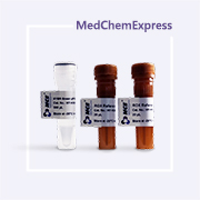 SYBR Green qPCR 预混液