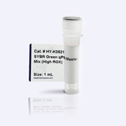 SYBR Green qPCR 预混液 (高 ROX)