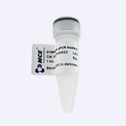 SYBR Green qPCR 预混液 (低 ROX)