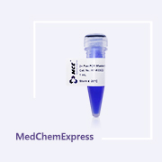2× 快速 PCR 预混液