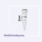 2× 高保真 PCR 预混液