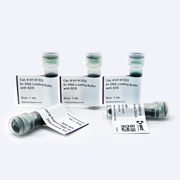 DNA 上样缓冲液(6×)