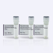 无缝克隆试剂盒