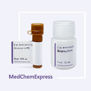 Annexin V-PE 细胞凋亡检测试剂盒