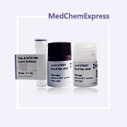 LDH 细胞毒性检测试剂盒