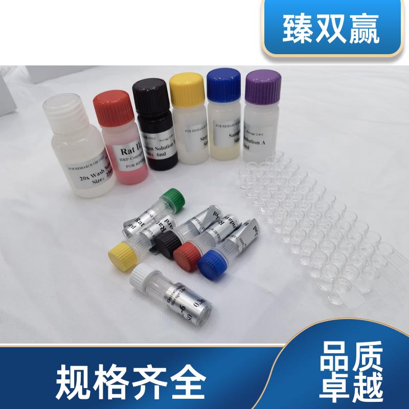 人elabela(ELA)ELISA试剂盒