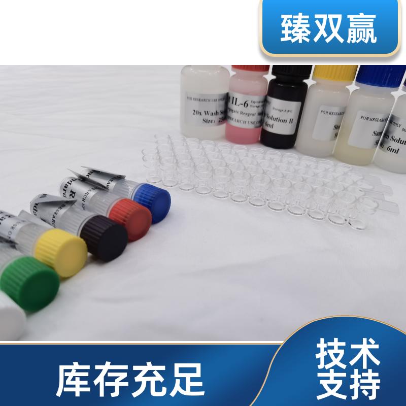 人心钠肽(ANP)ELISA试剂盒