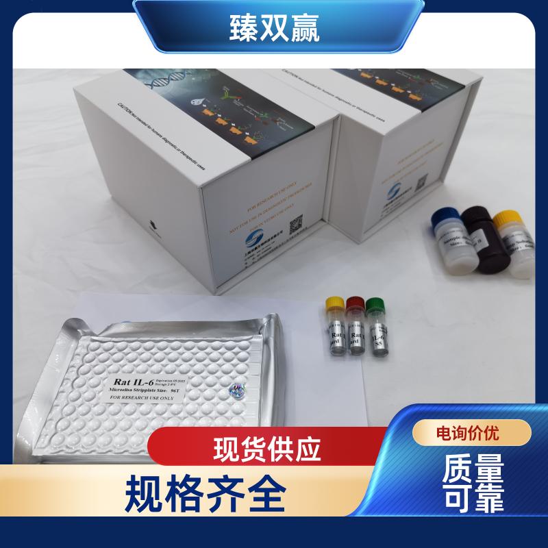 人脆性X智力迟钝蛋白1(FMR1)ELISA试剂盒