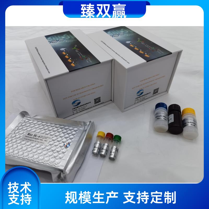 人胱硫醚β-合成酶(CBS)ELISA试剂盒