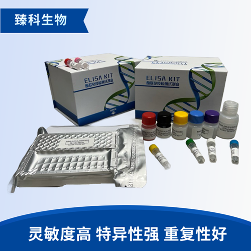 人线粒体呼吸链复合物III检测试剂盒（ELISA法）