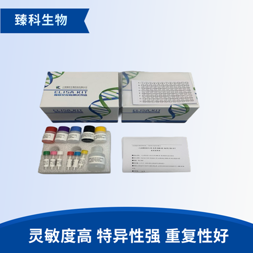人腺苷酸环化酶(AC）检测试剂盒（ELISA法）