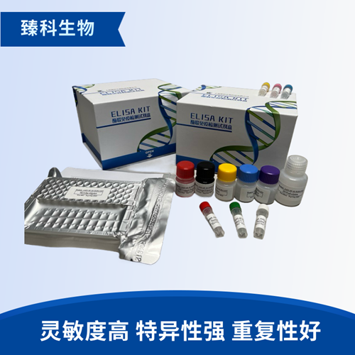 人锌指蛋白36(ZFP36）检测试剂盒（ELISA法）