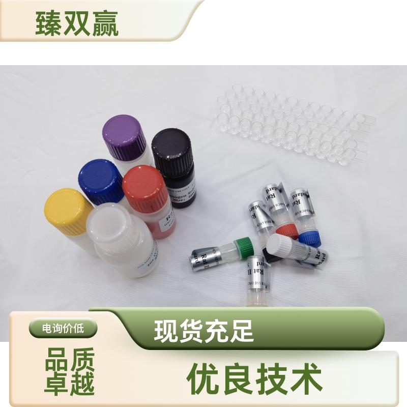 人S100钙结合蛋白A6/钙粒蛋白A(S100A6)ELISA试剂盒