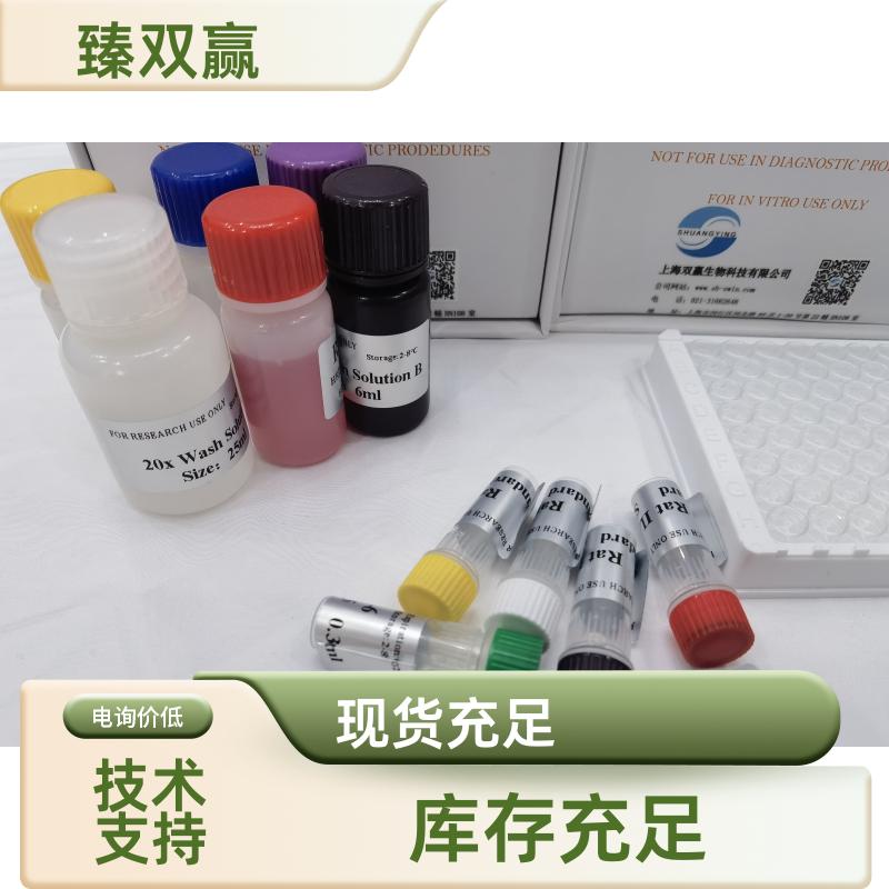 人β淀粉样蛋白1-42(Aβ1-42)ELISA试剂盒