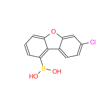 B-(7-氯-1-二苯并呋喃基)硼酸