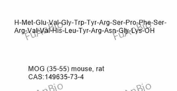 MOG (35-55) mouse, rat