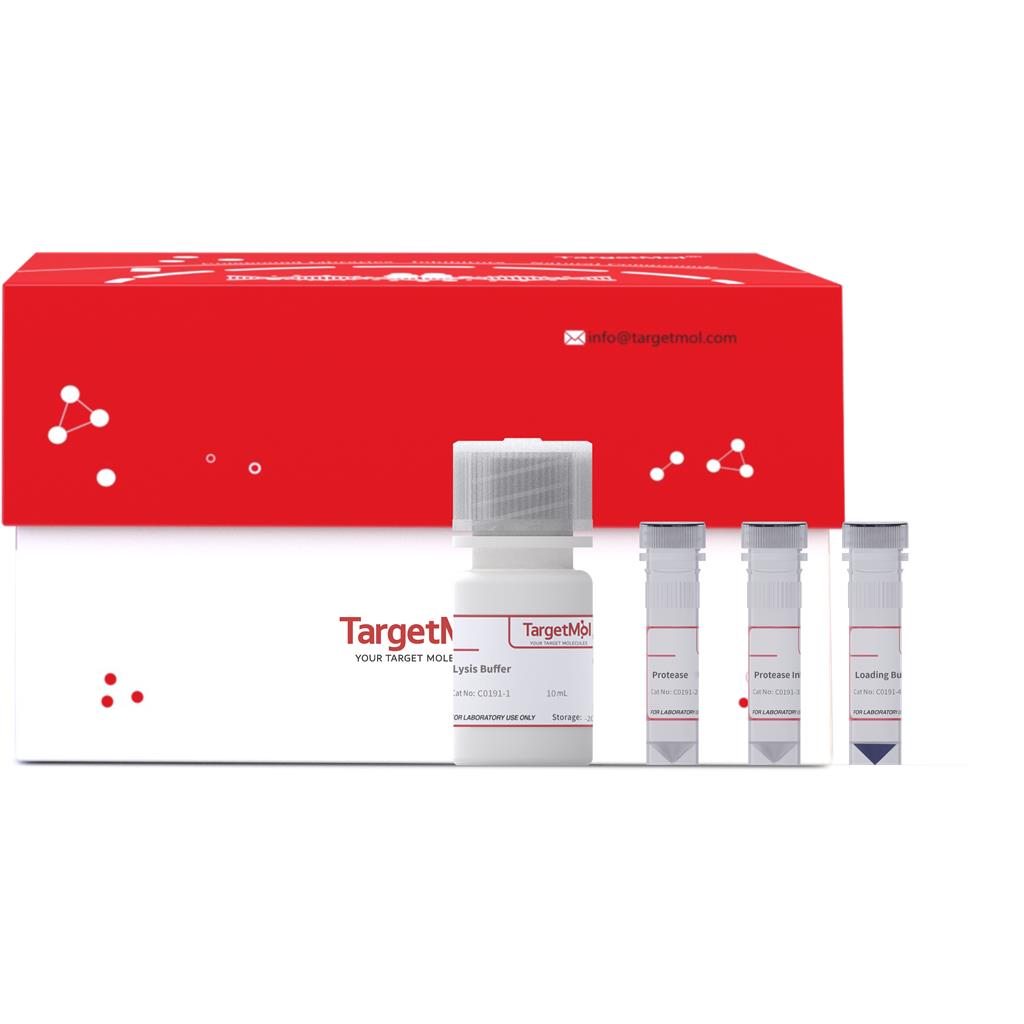 药物亲和反应靶蛋白稳定性检测试剂盒|C0191|TargetMol