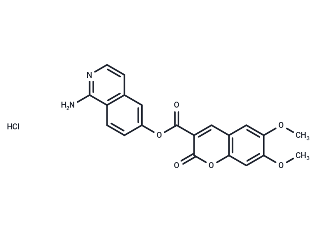 FXIIa-IN-1 盐酸盐|T82361L|TargetMol