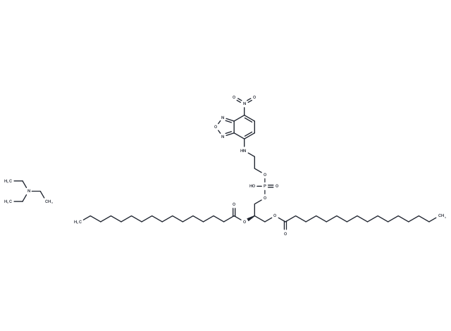 化合物 NBD-PE|T86974|TargetMol