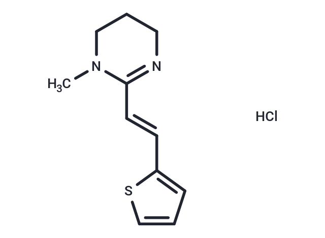 噻吩嘧啶盐酸盐|T0395L1|TargetMol