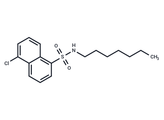 化合物 SC-10|T23329|TargetMol