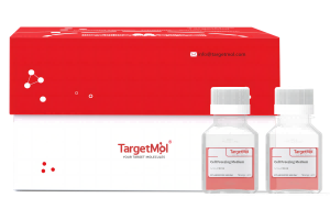 0.05% 胰蛋白酶-EDTA，酚红（1×）|C0200|TargetMol