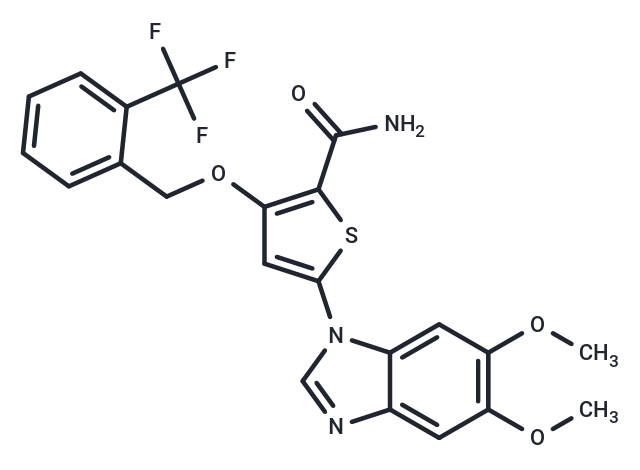 化合物 GW843682X|T15454|TargetMol