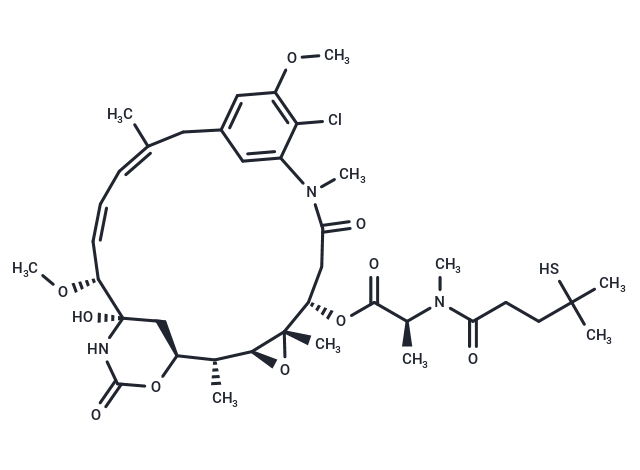 美登素 DM4|T15141|TargetMol