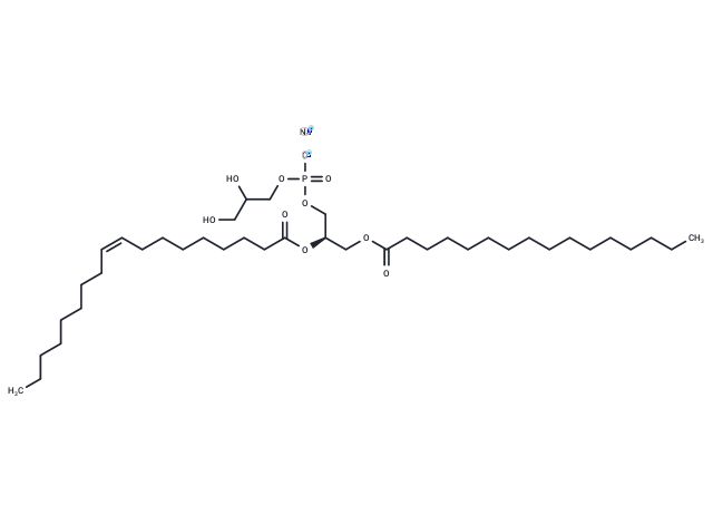 POPG 钠盐|TF0085|TargetMol