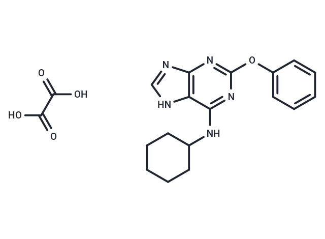 化合物 MRS-3777 hemioxalate|T12107|TargetMol